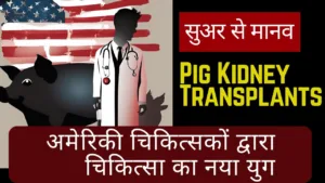 Pig Kidney Transplants: सुअर से मानव