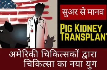 Pig Kidney Transplants: सुअर से मानव: अमेरिकी चिकित्सकों द्वारा चिकित्सा का नया युग